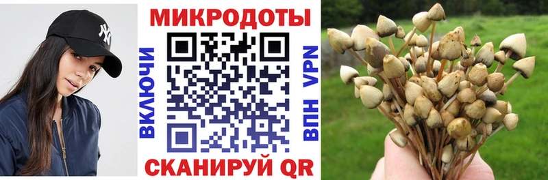 Галлюциногенные грибы GOLDEN TEACHER закладка Ливны